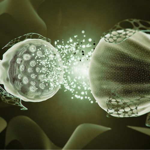 modifier ses connection neuronale par la visualisation et la méditation